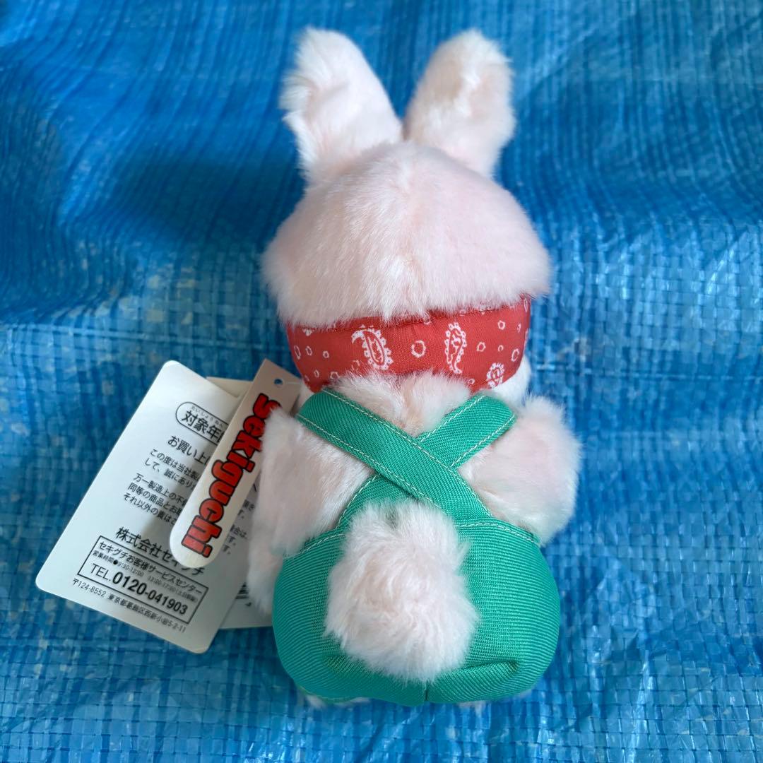 レア⬛︎希少⬛︎ベジタブル⬛︎チムたん⬛︎Sサイズ⬛︎にんじん⬛︎野菜⬛︎バンダナ⬛︎ウサギ