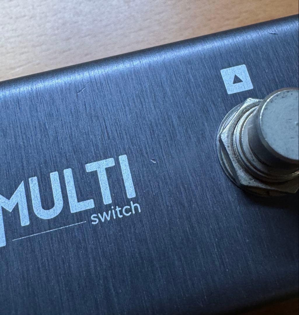 ギター Strymon MULTI switch