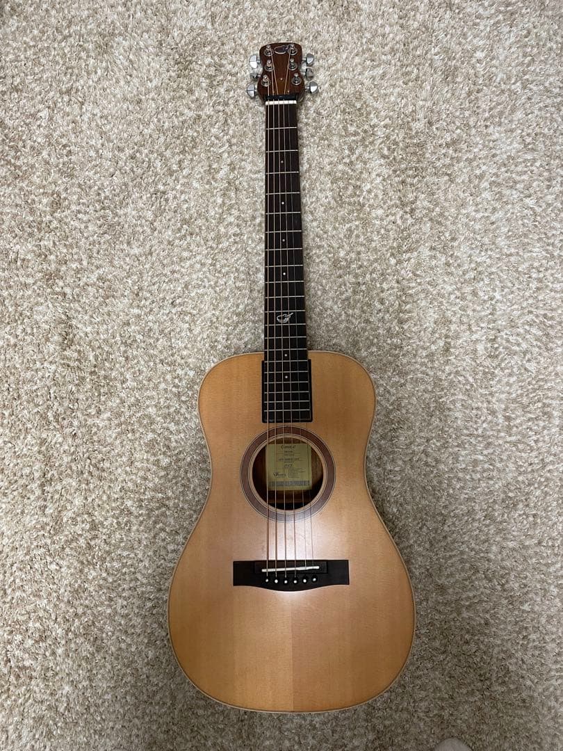 OF410N Overhead™️ アコースティック トラベルバックギター