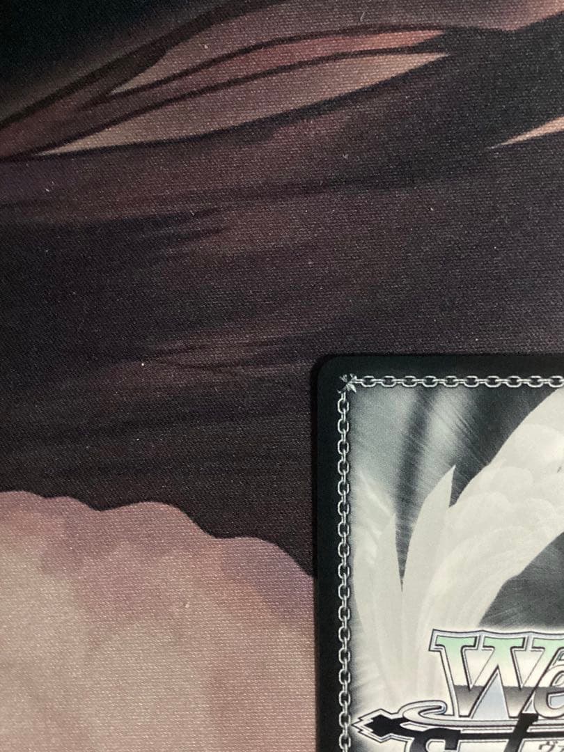 WS ガンゲイルオンライン LPFM レン SEC＋ サイン シク シークレット