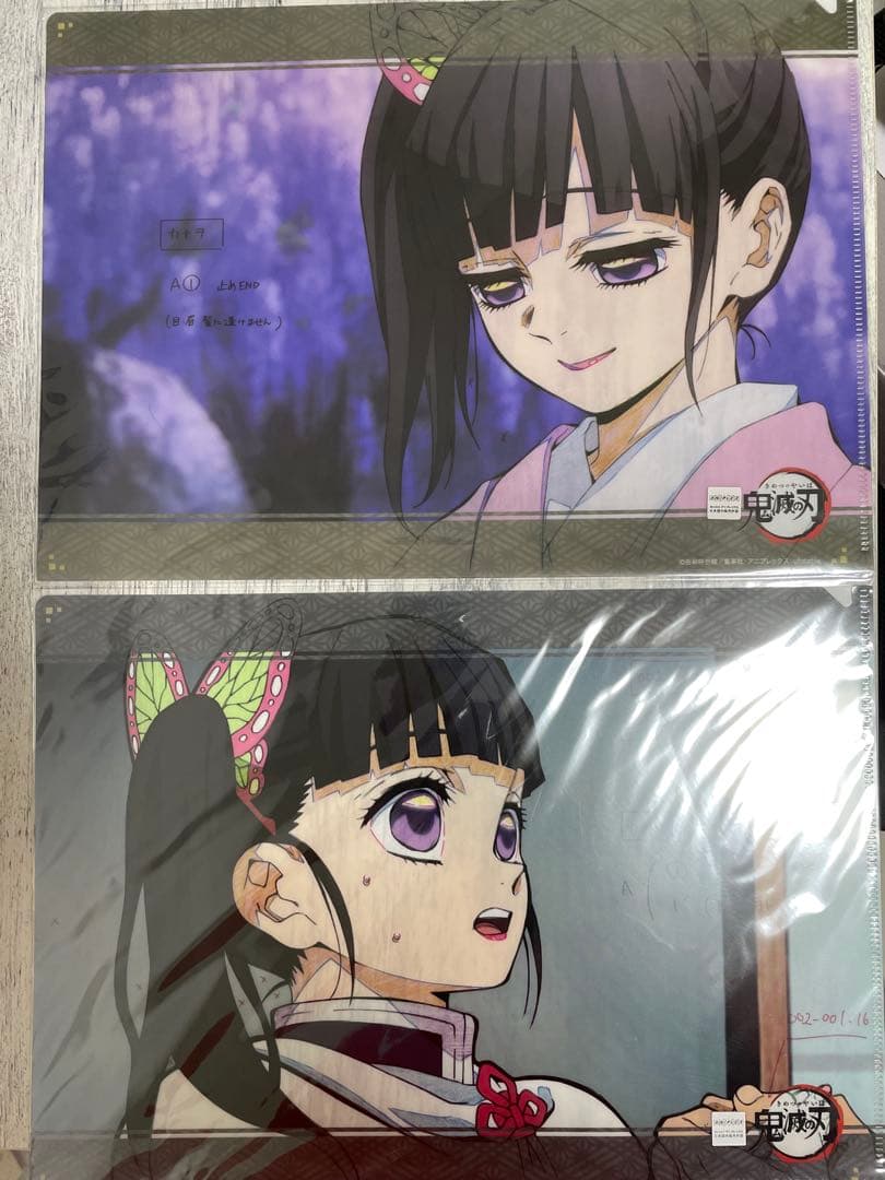 鬼滅の刃　栗花落カナヲ　クリアファイル