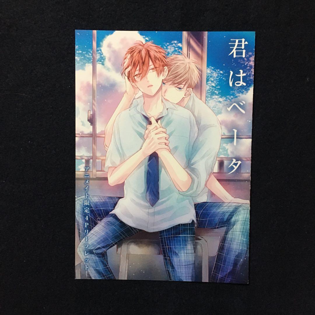 アニメイト限定4Pリーフレット・送料込