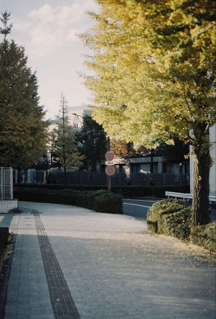 PENTAX LX 後期 レンズ付き