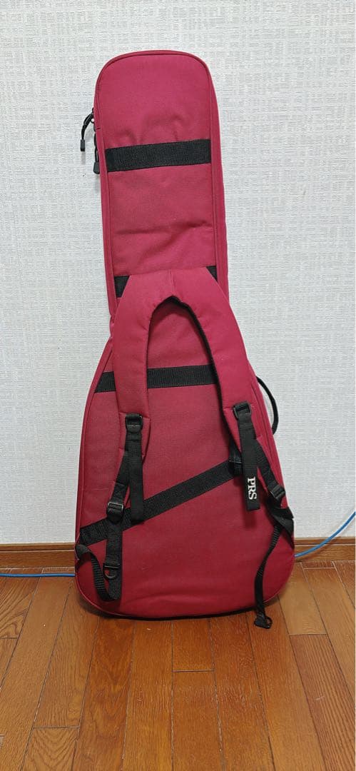 PRS SE Custom24 エレキギター (ストラップ、シールド付き)