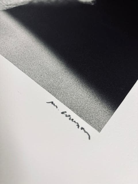 額装品/Animal I/マキシムゴダール/限定65枚/サイン・ナンバリング入/