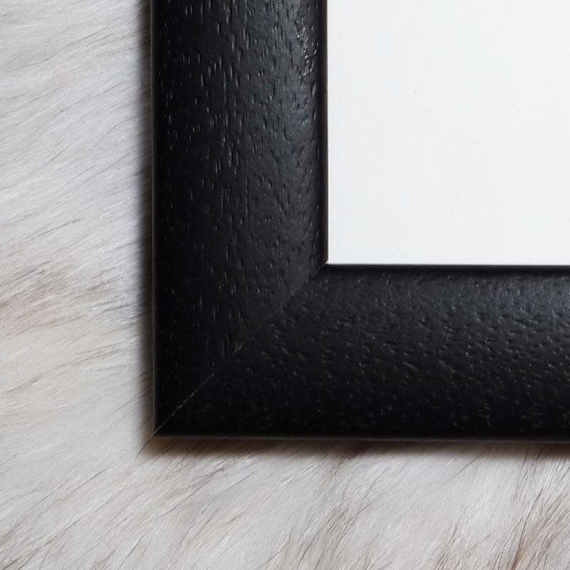 額装品/Animal I/マキシムゴダール/限定65枚/サイン・ナンバリング入/