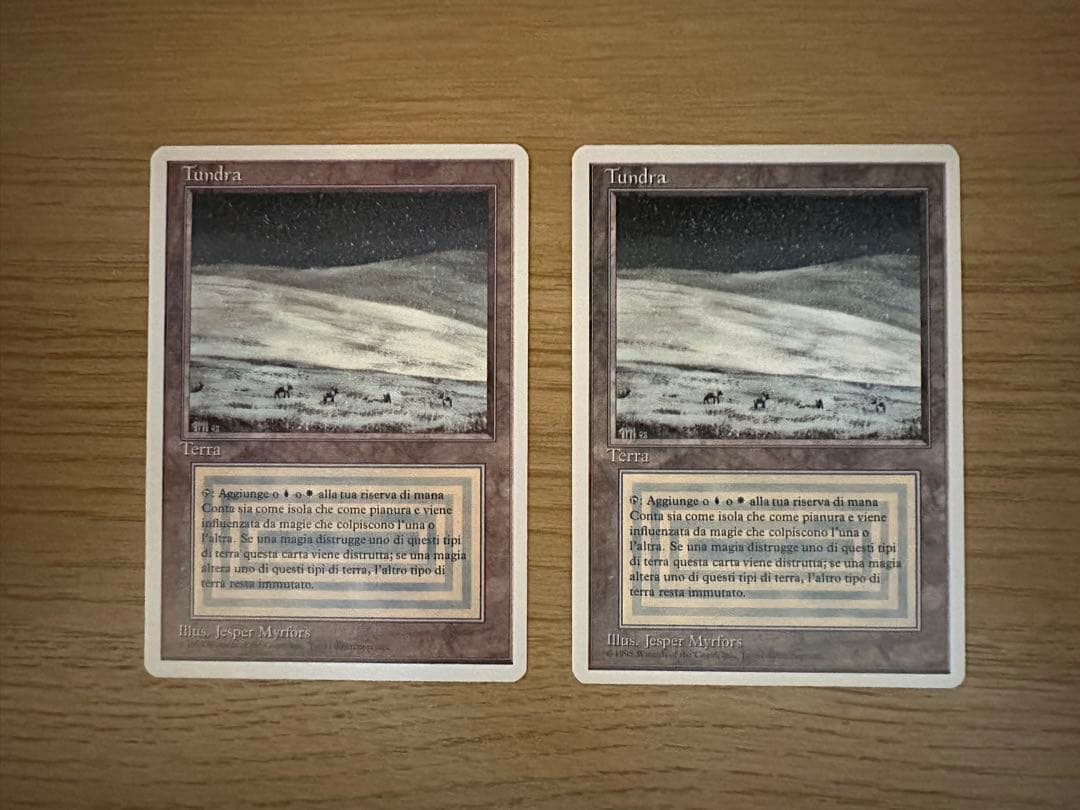 Tundra/3ED-リバイズド(イタリア語)