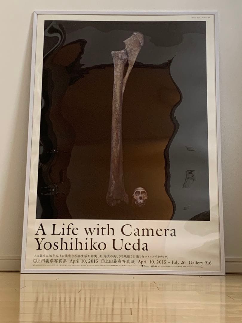 上田義彦 Life with Camera ポスター3点　アンディ・ウォーホル