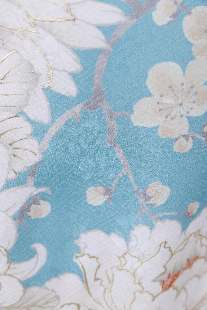 ミシェル　振袖のみ【815】【155cm~165cmの方用】