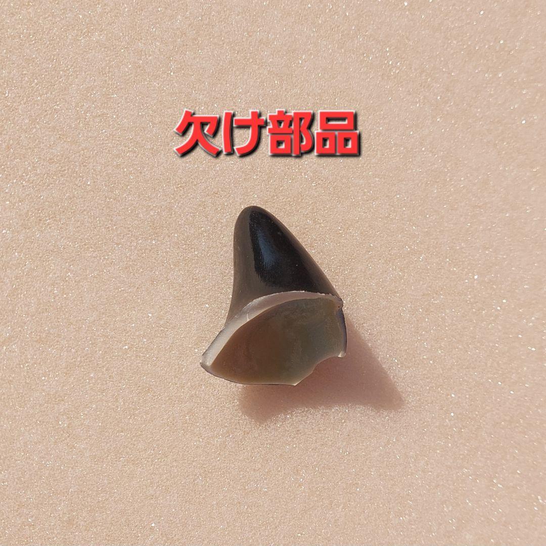 ウランちゃん特大フィギュア約50cm ATS刻印入り