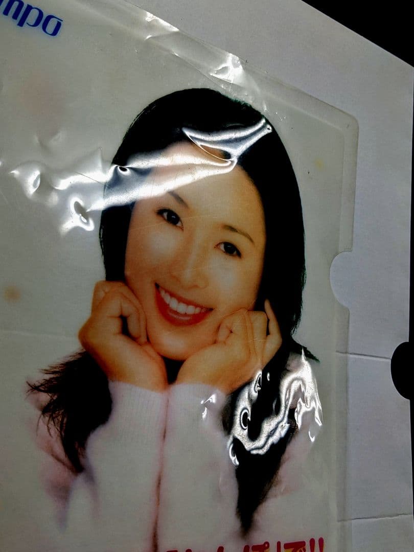 のりピー酒井法子の簡易保険クリアファイル