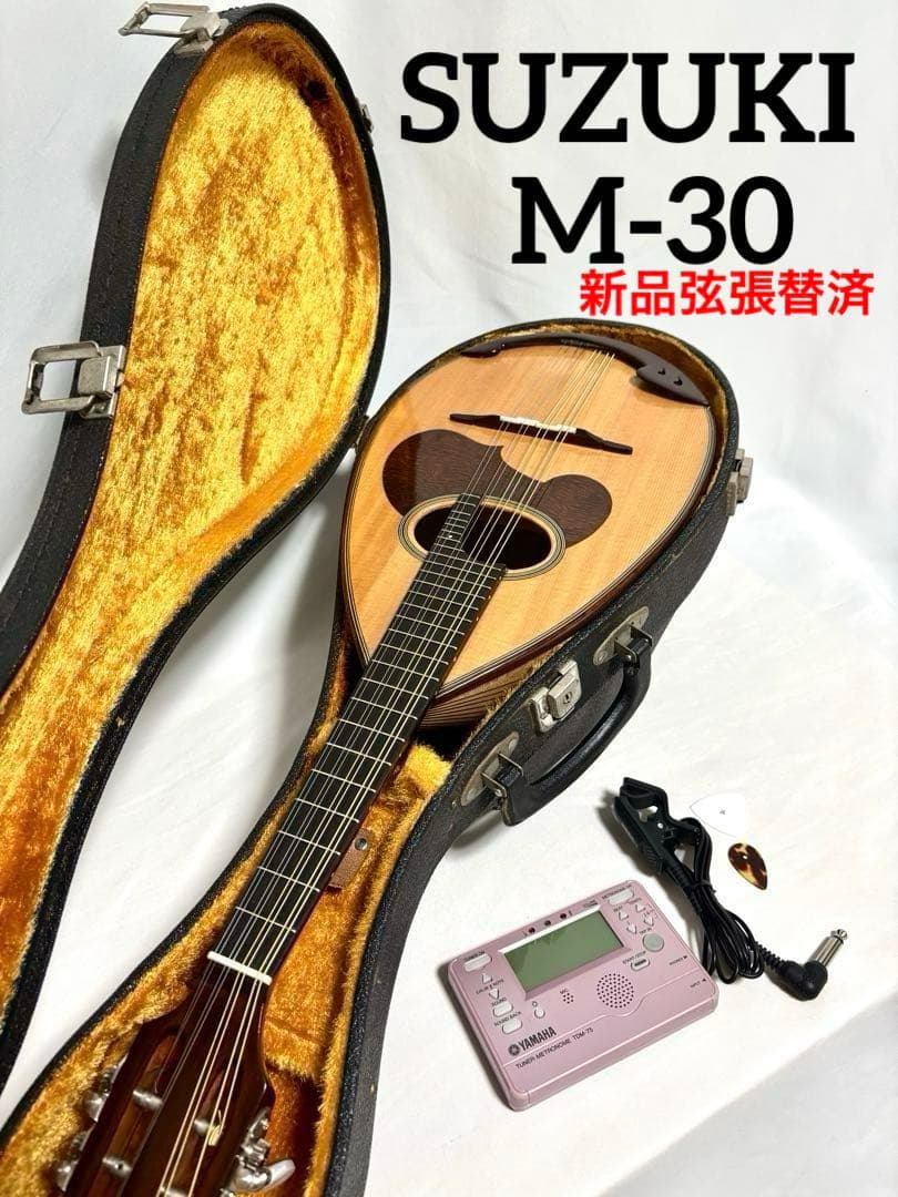 【新品弦張替済】SUZUKI マンドリン M-30