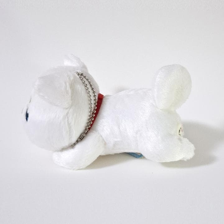 銀魂 わんにゃん大集合 銀時 桂 定春 いぬ ねこ ぬいぐるみ マスコット