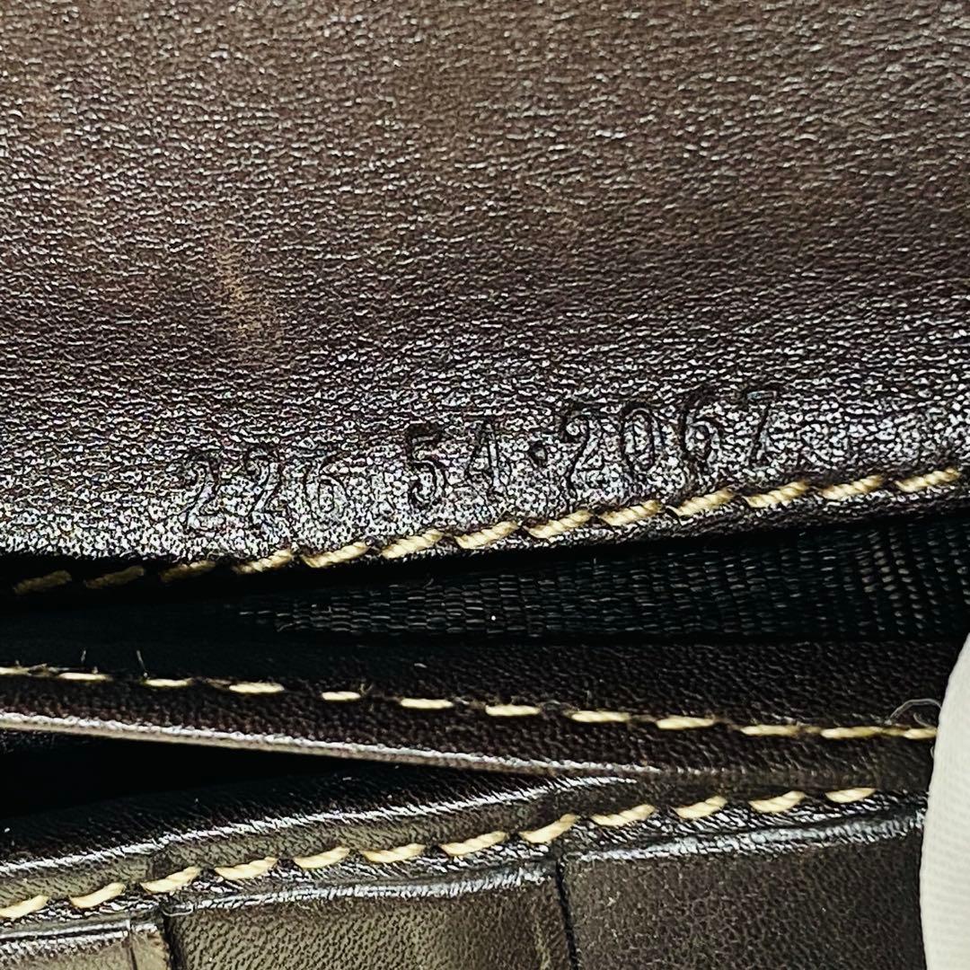 【希少】GUCCI GGキャンバス　グッチョリ　チワワ　Wホック　長財布