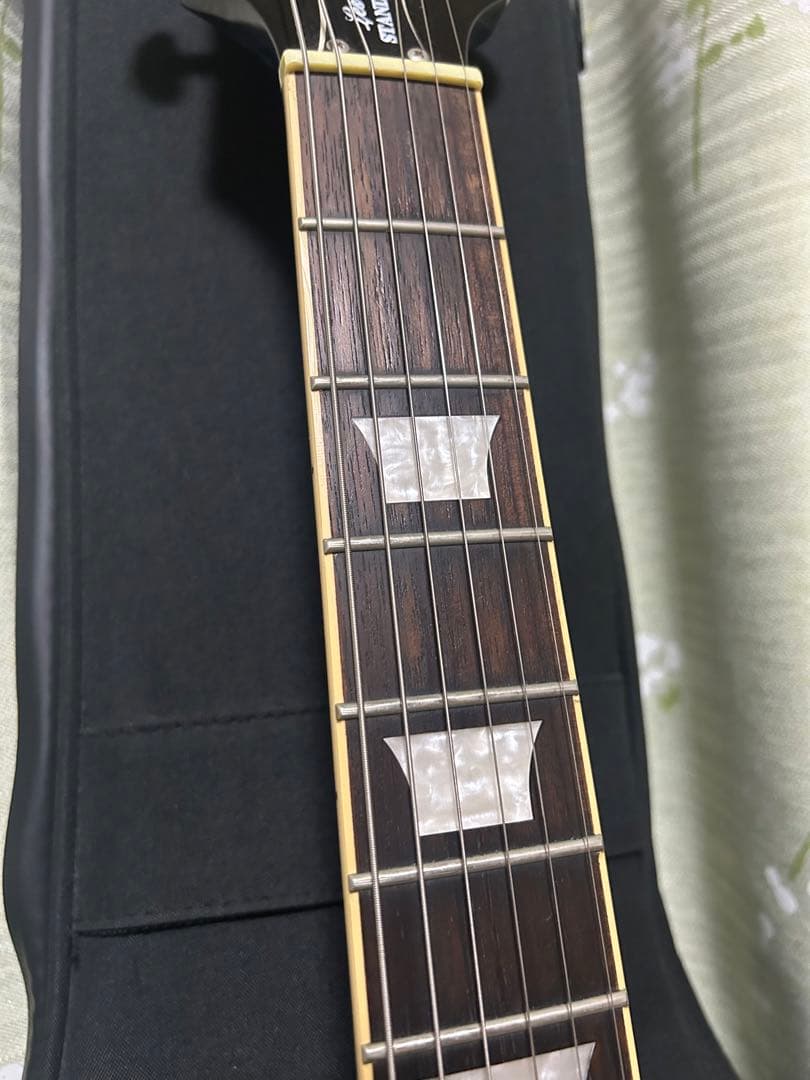 ギター Epiphone Les Paul standard pro
