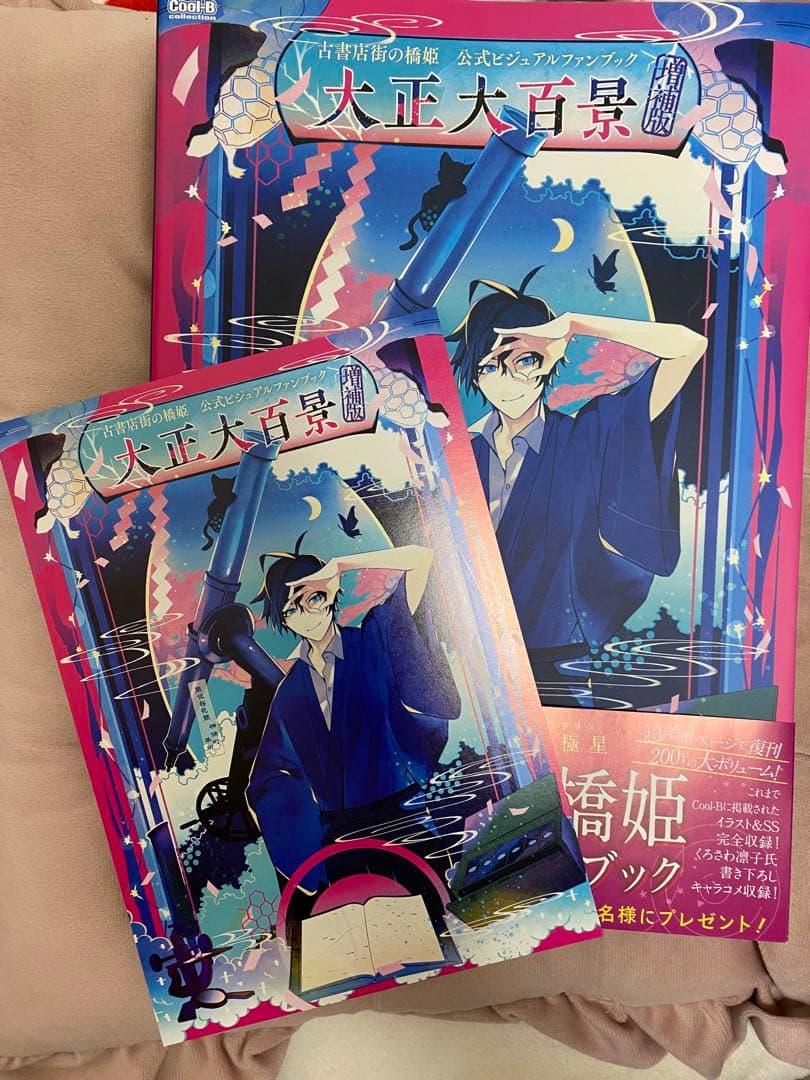 古書店街の橋姫 公式ビジュアルファンブック 増補版 大正大百景