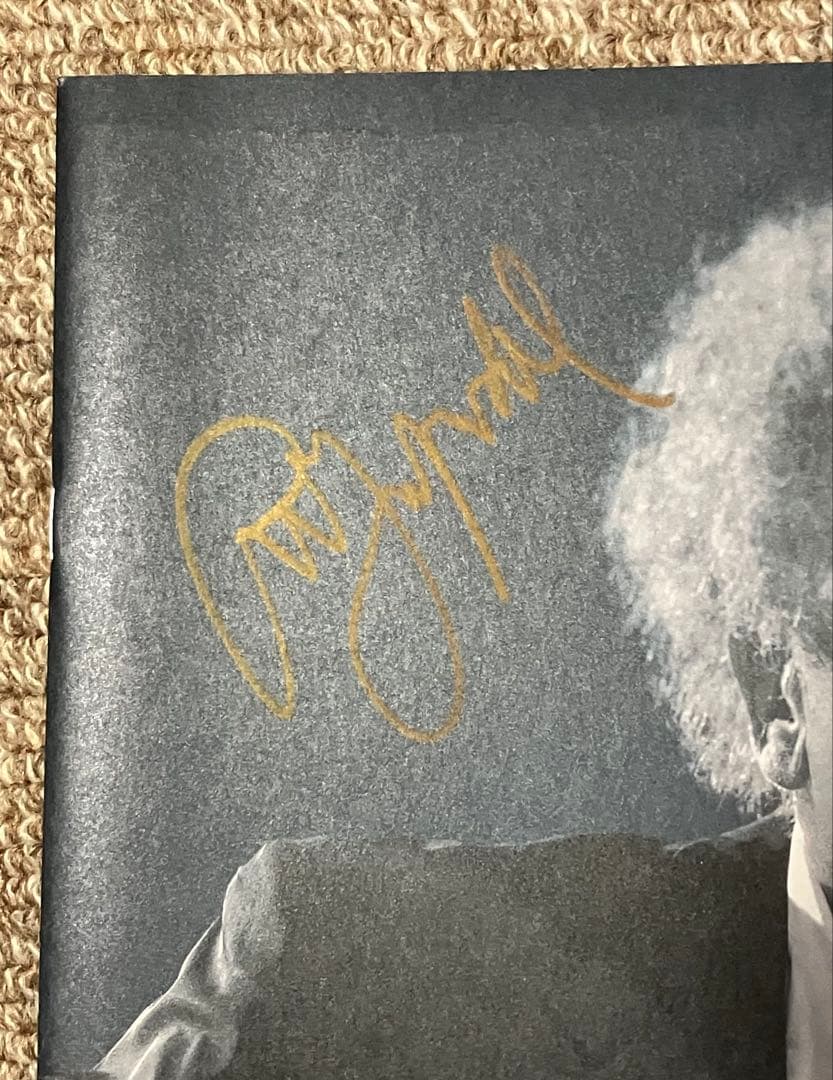 Art Garfunkel 自筆サイン付 パンフレット チケット　ガーファンクル