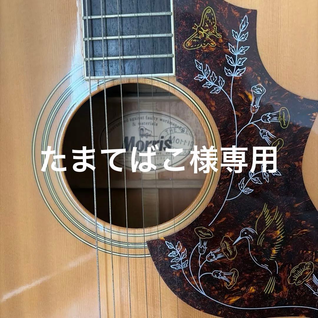 アコースティックギターモーリスmorris wh-25