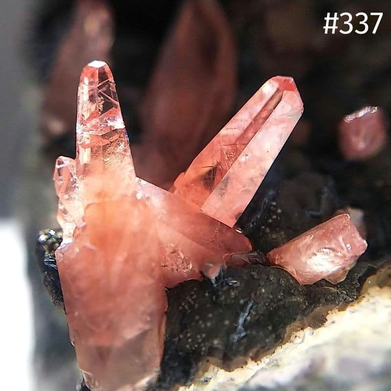 337 ロードクロサイト インカローズ 犬牙状 結晶 母岩付き