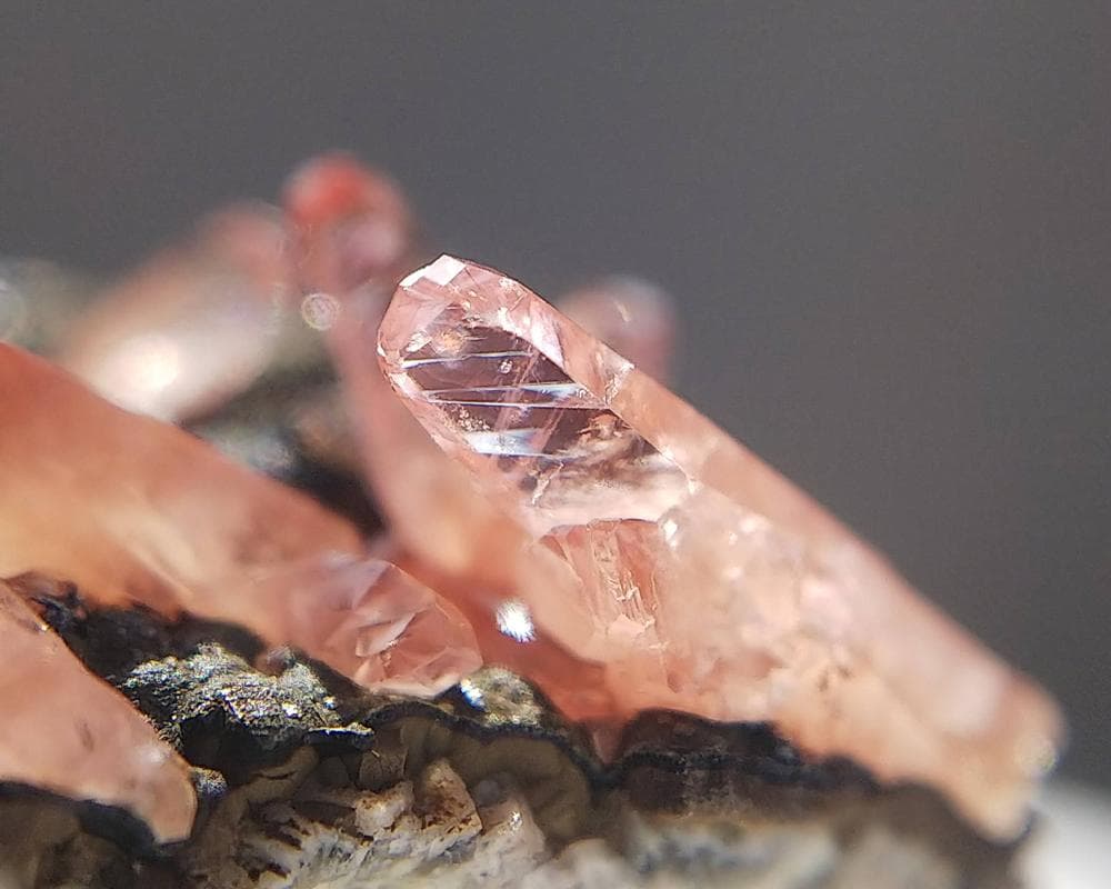 337 ロードクロサイト インカローズ 犬牙状 結晶 母岩付き