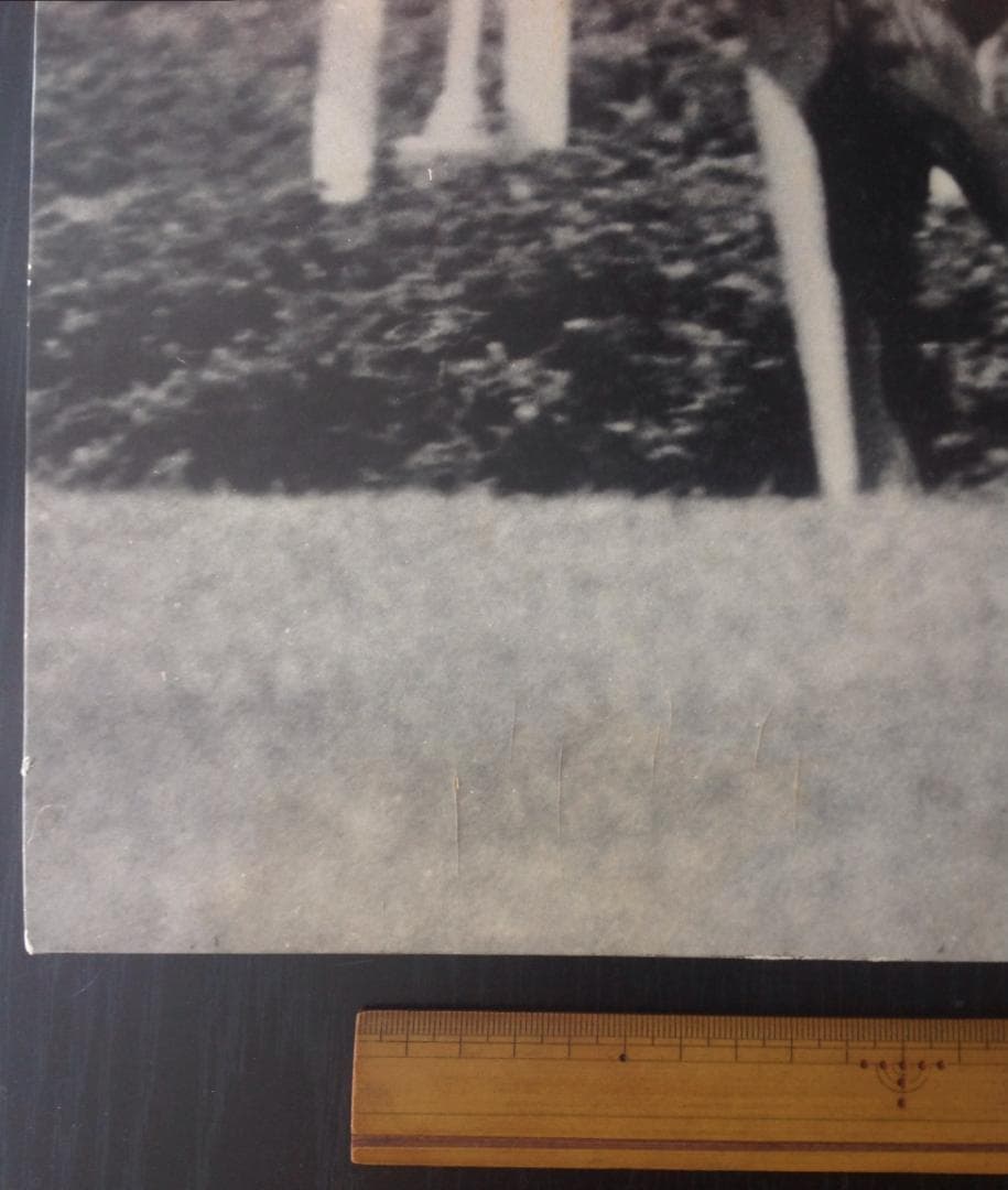 競馬パネル：トウショウボーイ「1977年 第7回高松宮杯」※白黒直線