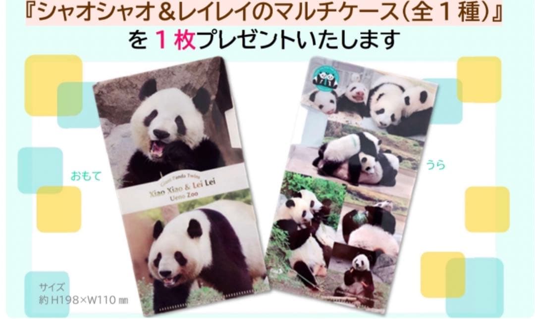 上野動物園 パンダ ぬいぐるみ抱っこミニ 暁暁 蕾蕾 シャオシャオ レイレイ