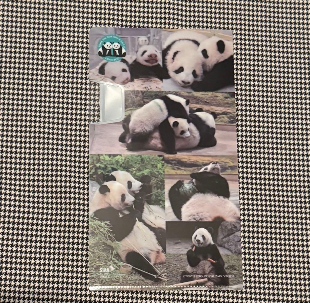 上野動物園 パンダ ぬいぐるみ抱っこミニ 暁暁 蕾蕾 シャオシャオ レイレイ