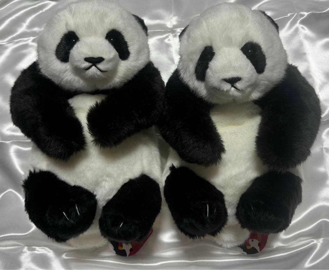 上野動物園 パンダ ぬいぐるみ抱っこミニ 暁暁 蕾蕾 シャオシャオ レイレイ