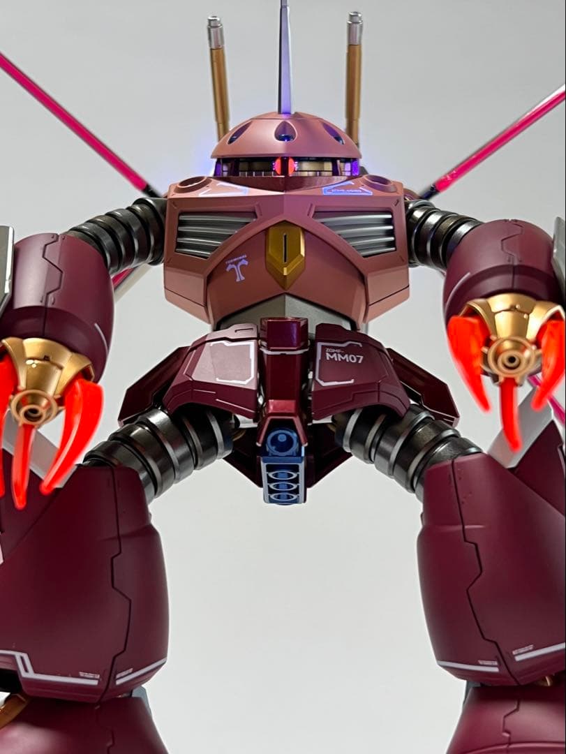 HGCE ズゴック SEED FREEDOM Ver. 塗装完成品 CAセット