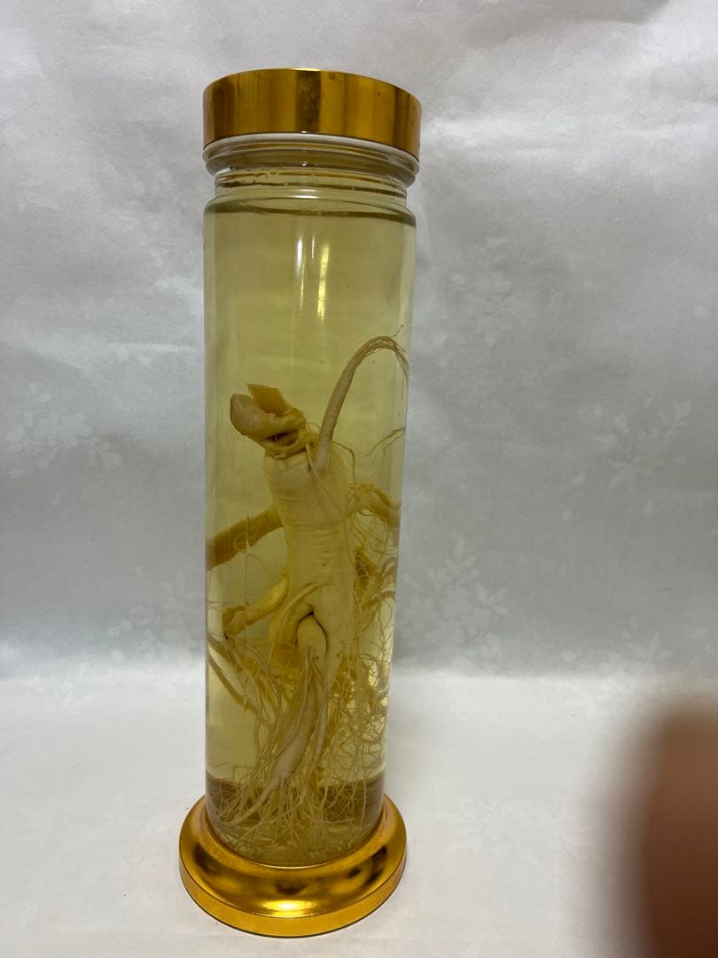 朝鮮白頭山人参古酒 薬膳酒 漢方 薬酒 健康酒 養命酒 年滋養強壮に役立つ