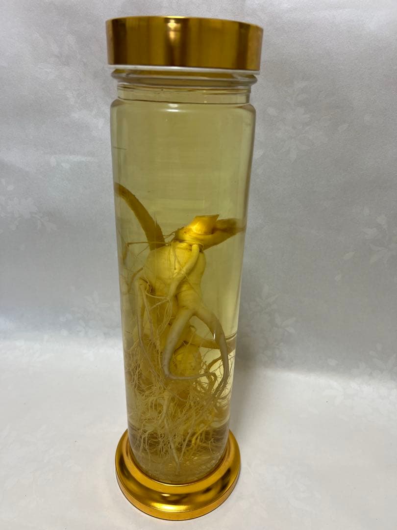 朝鮮白頭山人参古酒 薬膳酒 漢方 薬酒 健康酒 養命酒 年滋養強壮に役立つ