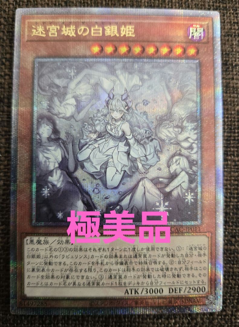 迷宮城の白銀姫 25th　レディオブザラビュリンス　絵違い