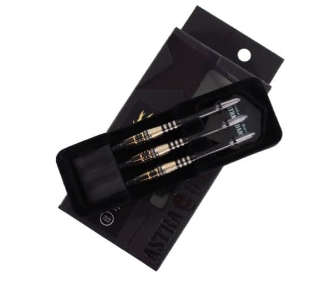 ティーアロー6 T-arrow 谷内太郎モデル