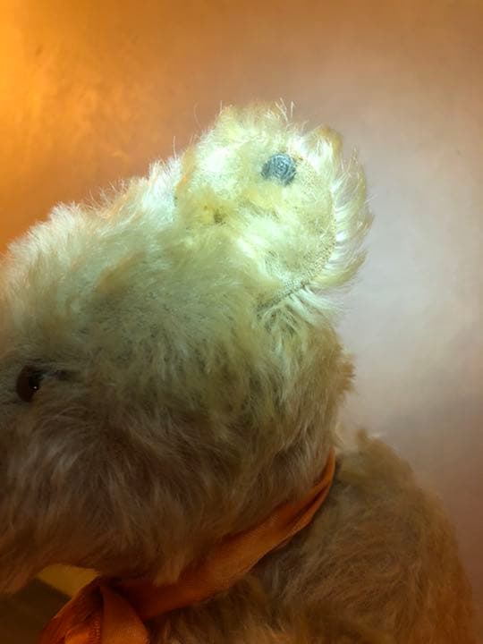 ミドルサイズ　シュタイフ 20年代　ホワイト　アンティーク