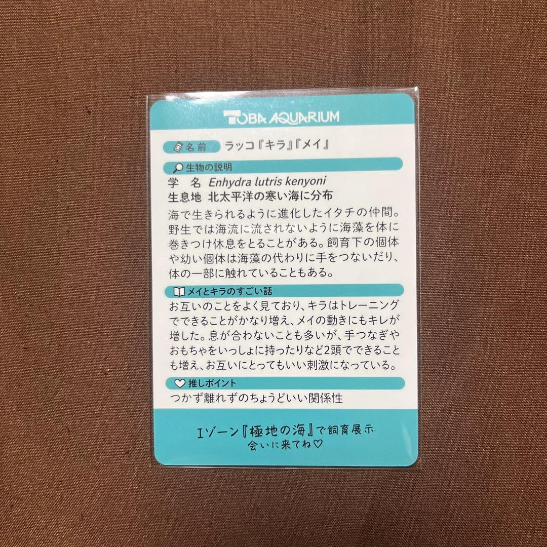 ら*こ様 鳥羽水族館 コレクションカード レア ラッコ