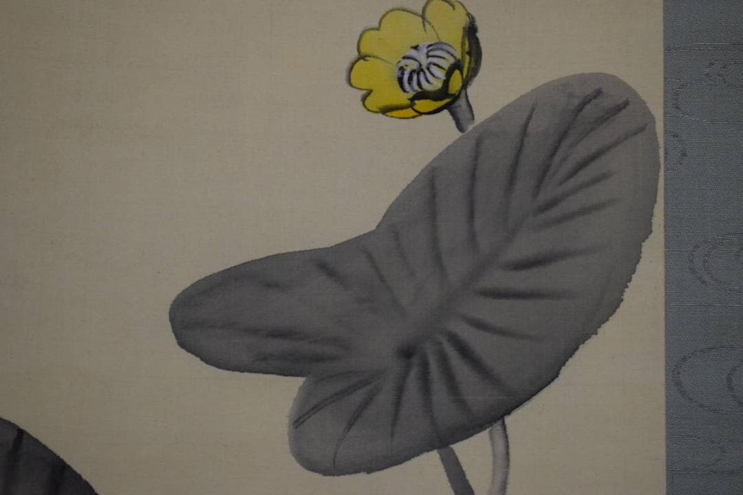 真作/庭山耕園/河骨図/コウホネ図/桐題箱付/布袋屋掛軸HI-266