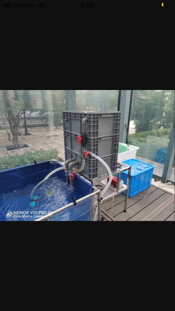 三段式濾過装置大型水槽用沈殿物理生物一体型濾過槽外部式 器水槽濾過試しろ材付き