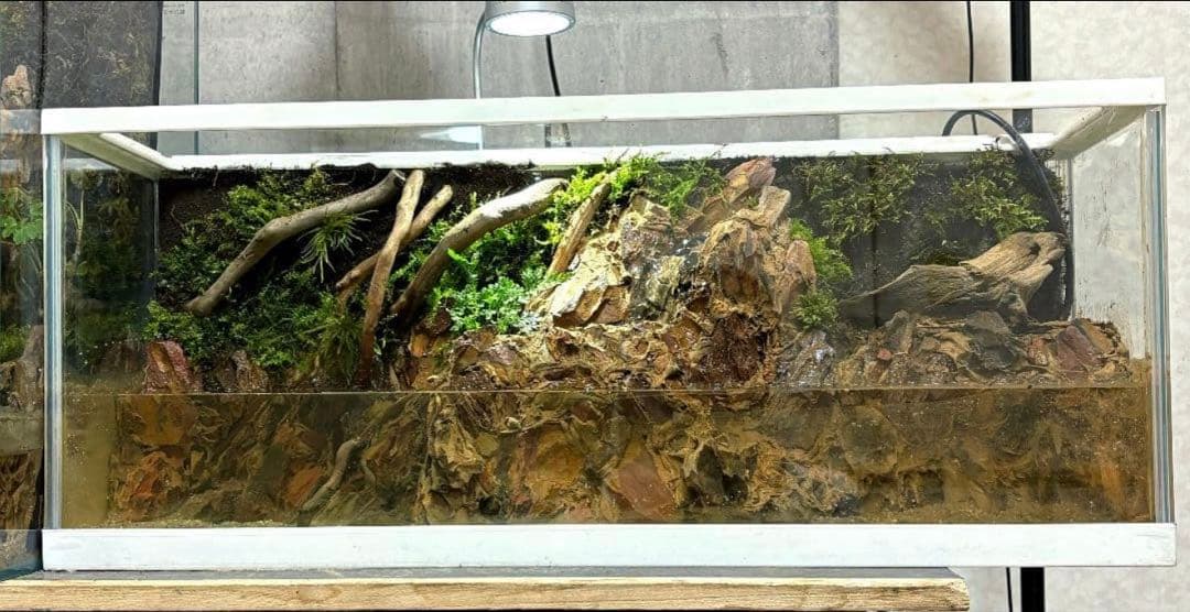 滝の流れるアクアテラリウム　イモリウム
