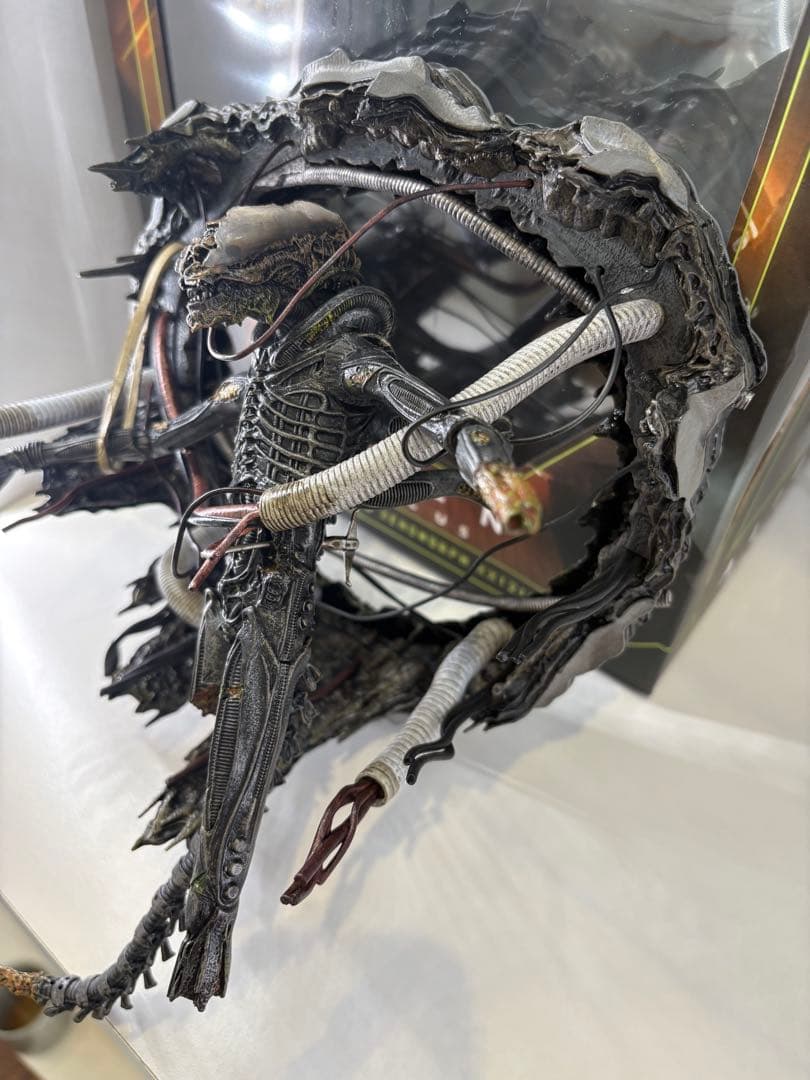 ネカ　エイリアン　ロムルス　サスペンデッド　ラボ　ゼノモーフ