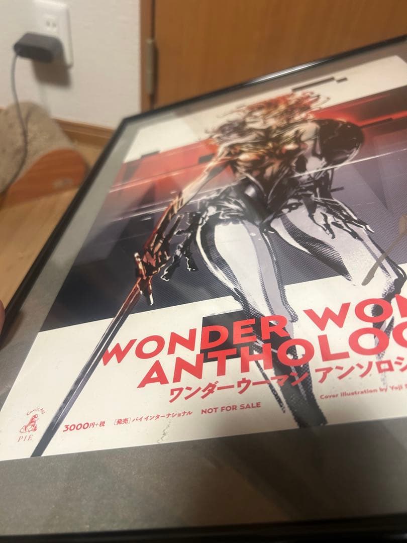 【希少】新川洋司 直筆サイン ポスター ワンダーウーマン