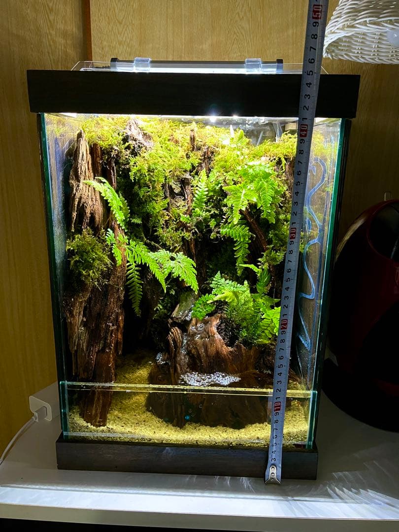 中型ガラス水槽 LEDライト付き