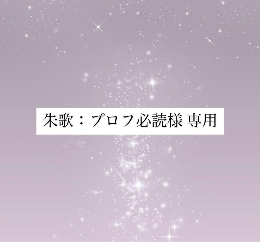 朱歌：プロフ必読