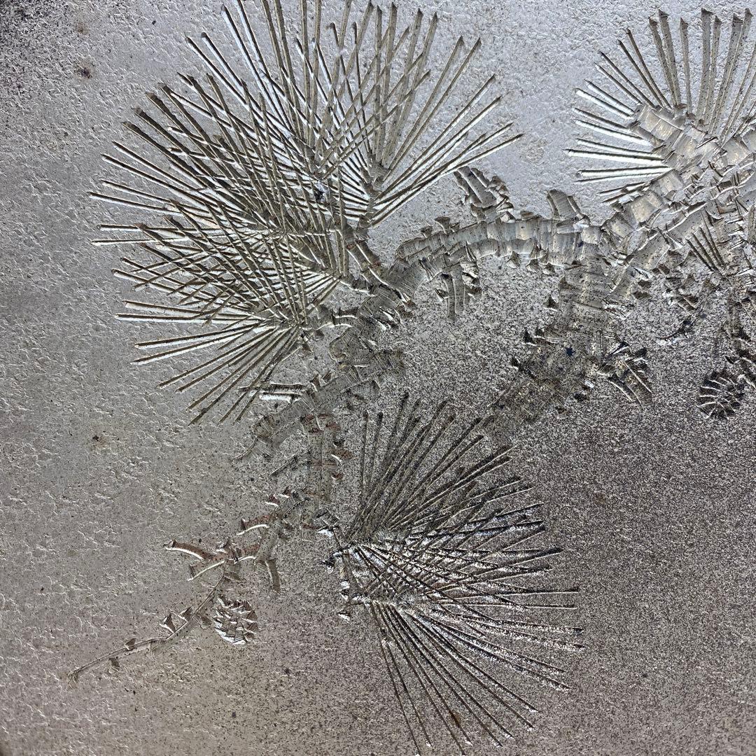 純銀　和光　皿　木箱、皿立付　312g 直径24.3㎝ 東Y7-0117☆2F