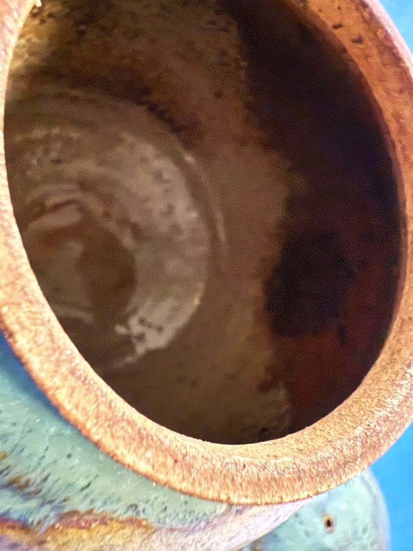 天月窯 中村芳楽 ティーポット 急須