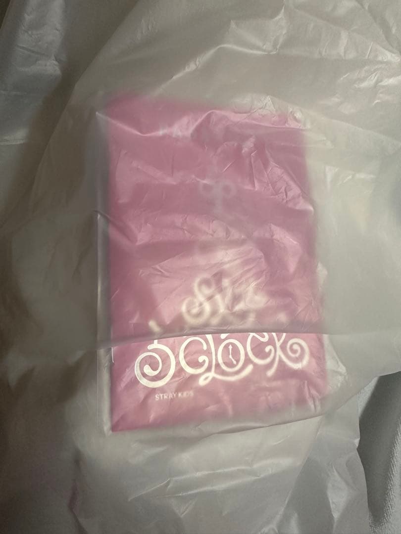 StrayKids リノ テディベア 5'clock リービット SKZOO