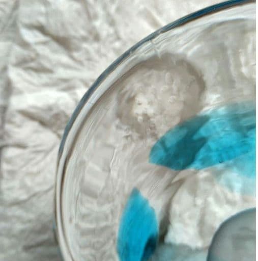 Lollipop ロリポップ scope スコープ