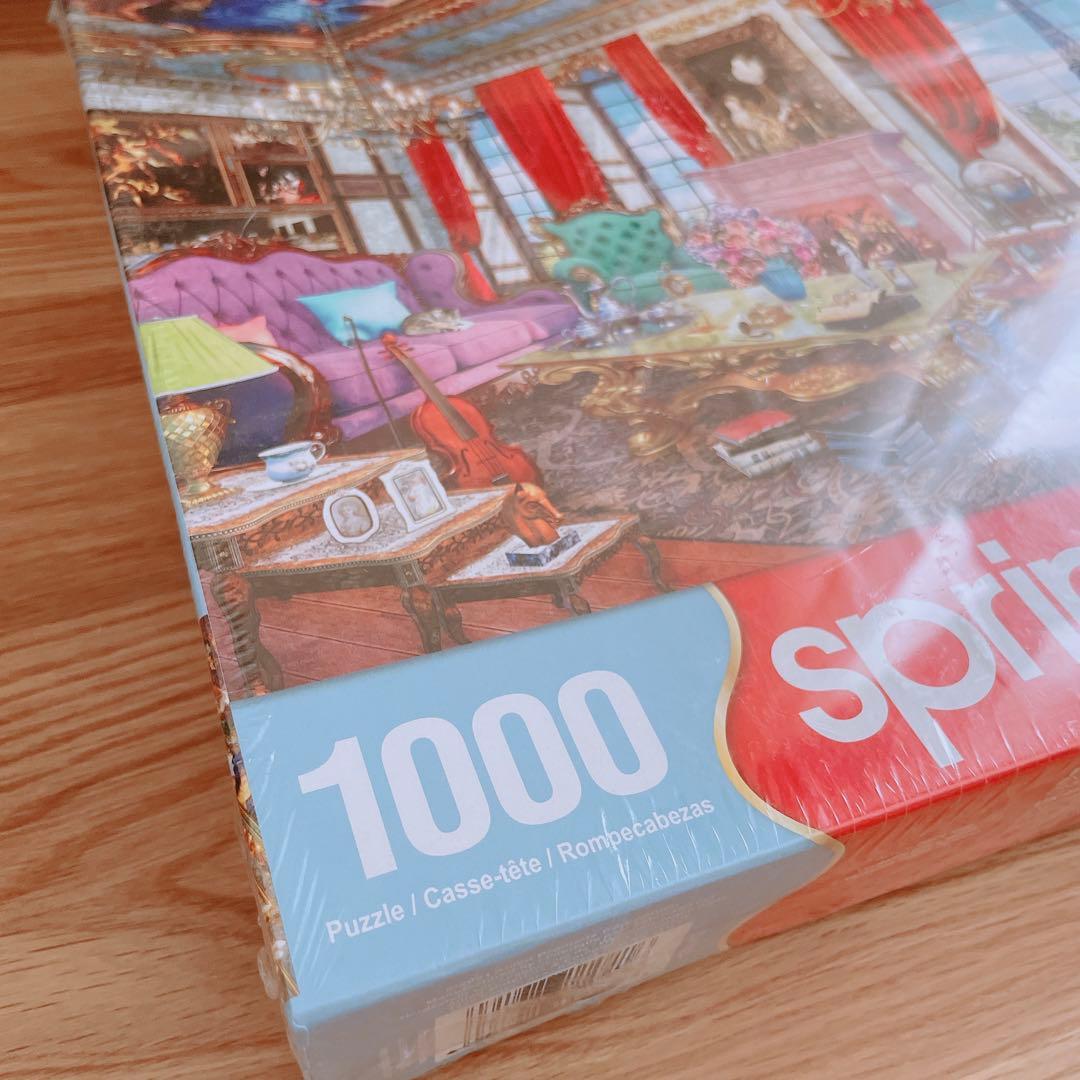 Springbok 1000ピース ジグソーパズル パリの宮殿1000