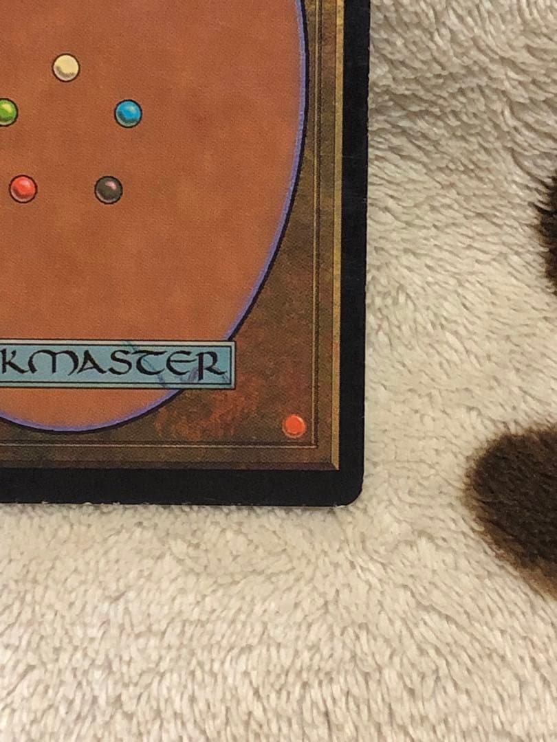 mtg 翻弄する魔道士　Meddling Mage foil 日本語