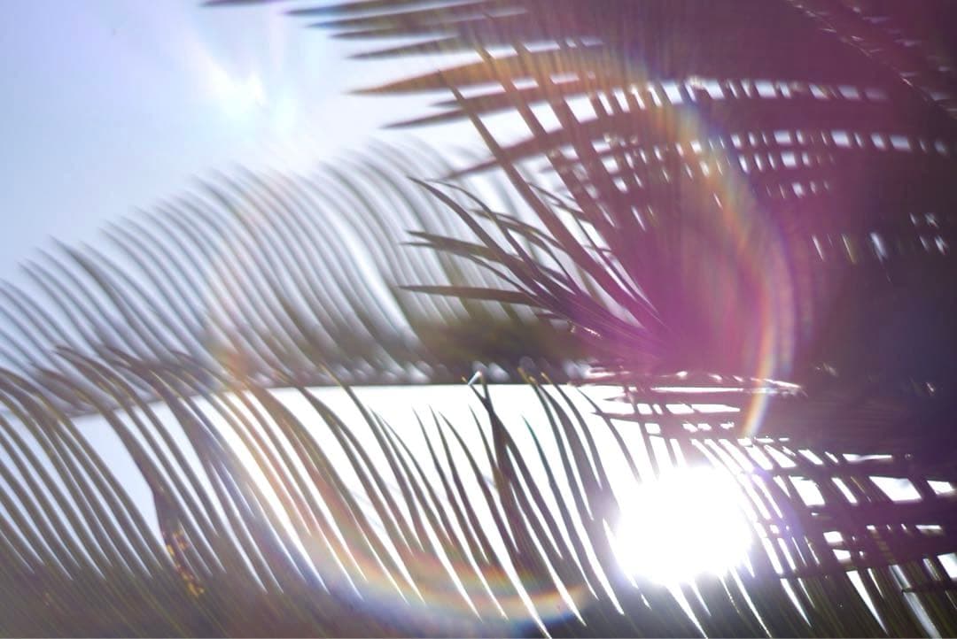 【希少前期型】Pentax Super-Takumar 55mm f1.8