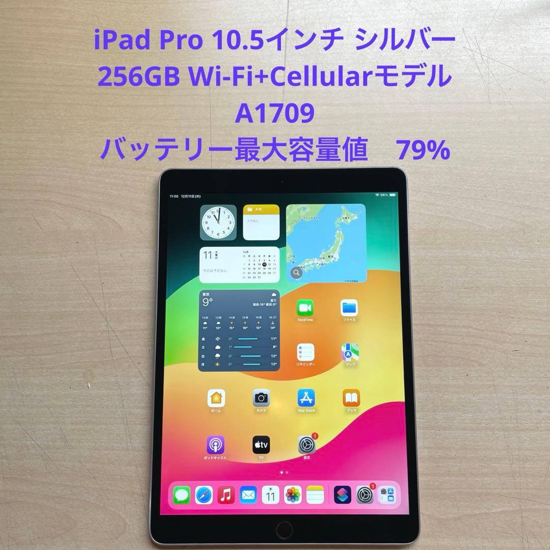 iPad Pro 10.5 シルバー　256GB Cellular　A1709